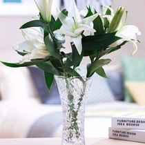 Thickened large number vase glass transparent living room pendulum water bacon plant rich and expensive bamboo lilies (shipped within 7 days)