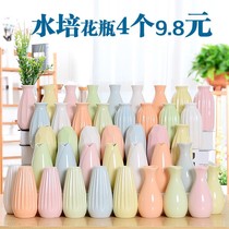 Ceramic small frescoed vase hydroponic plant minimalist modern living room home decoration floral multicolored flower arrangement pendulum