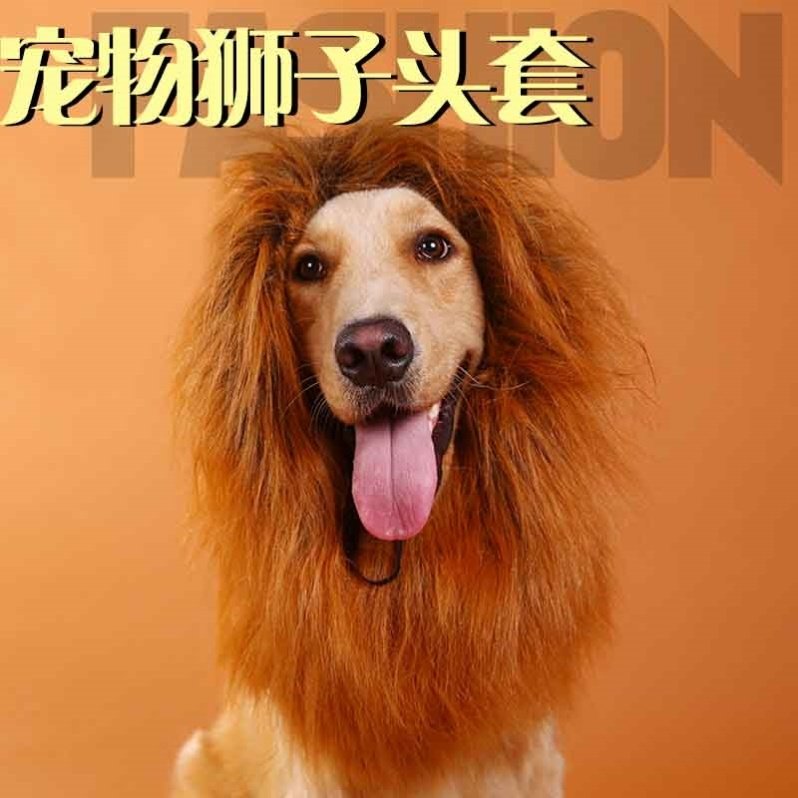 Cute net decoration golden retriever lion headgear costume artifact disguise props king dog supplies Halloween lion king wear
