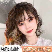 Wig women short hair 2021 fashion new curly hair simulation real hair full head wool roll wig set