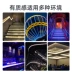 LED neon tròn linh hoạt ánh sáng mềm với miếng dán quảng cáo ngoài trời chống thấm nước làm nổi bật dấu hiệu đường ánh sáng dự án chiếu sáng Đèn led trang trí