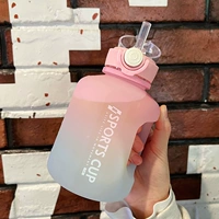 Эвербрайт!Градиентный порошок 1L -саф материал!Компенсация сумки утечки