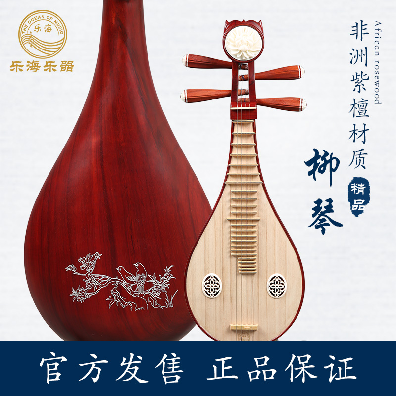 Le Hai Liuqin Musical Instrument Professional Rosewood Liuqin African Rosewood Material Copper Fine Tuning Liuqin DS12-HN