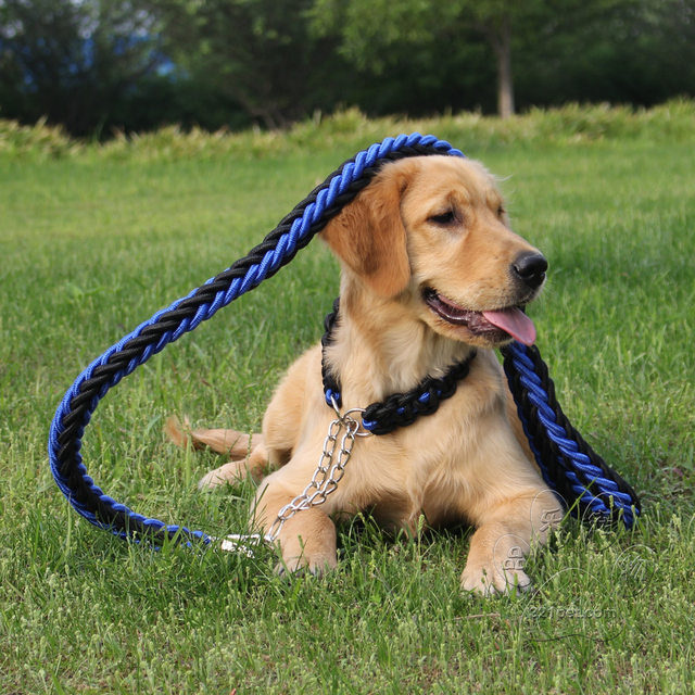 中型大型犬狗狗金毛拉布拉多遛狗绳子项圈狗链子P链牵引绳带用品