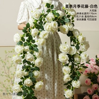 Белая крупноцветковая версия розовой лозы Моне, цельная, длиной 1,7 метра.