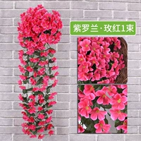 Фиалка Роза 1 букет без корзины