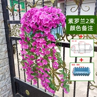 2 букета цветов + 1 подвесная корзина + 1 цветочный горшок (пожалуйста, оставьте сообщение о других цветах)