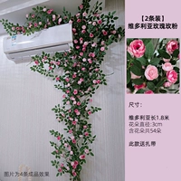 Розовая розовая виноградная лоза/2 виноводная лоза легко выпукать в форме