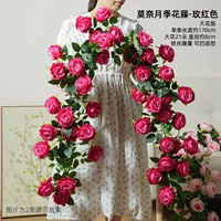 Розово-красная крупноцветковая версия розовой лозы Моне, цельная, длиной 1,7 метра.