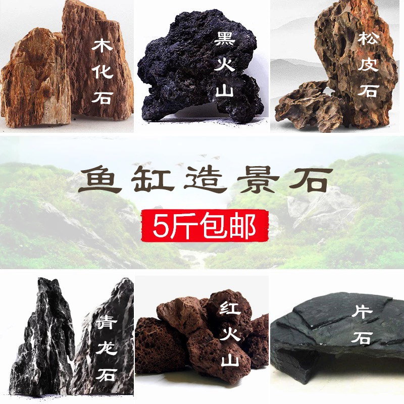 Tortoise cylinder view stone fake mountain natural stone green dragon stone fish aquarium decorated aquarium grass cylinder material