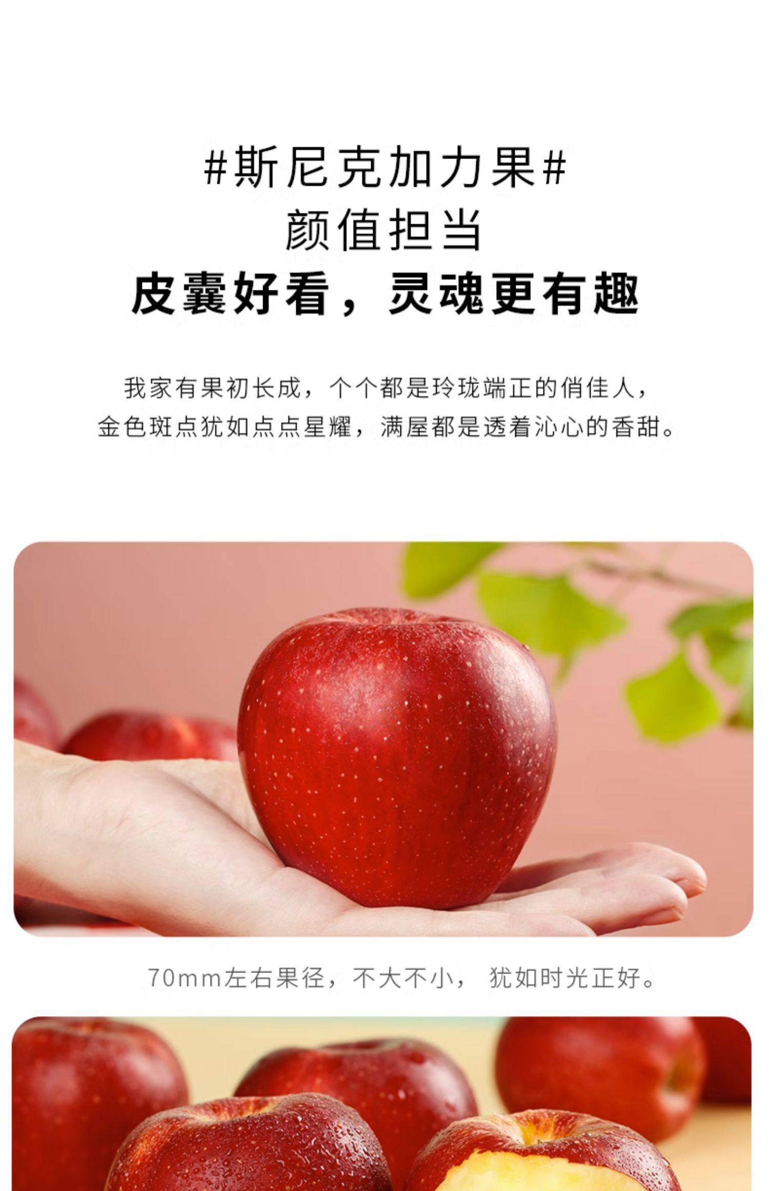 探疆奇遇 斯尼克嘎啦苹果 果径75~80mm 5斤装 天猫优惠券折后¥32.8包邮(¥46.8-14)