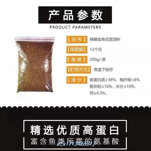 (Весенняя рекламная реклама снижение пельменов) Золотая рыбка кормит рыбную рыбу рыб