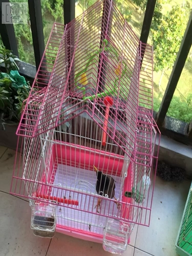 Большая вилла, двухэтажный замок, большой кролик