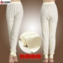 Lai Xiner cotton mùa thu quần nữ đầu gối quần dày quần legging quần trung niên sưởi ấm quần quần legging lót lông