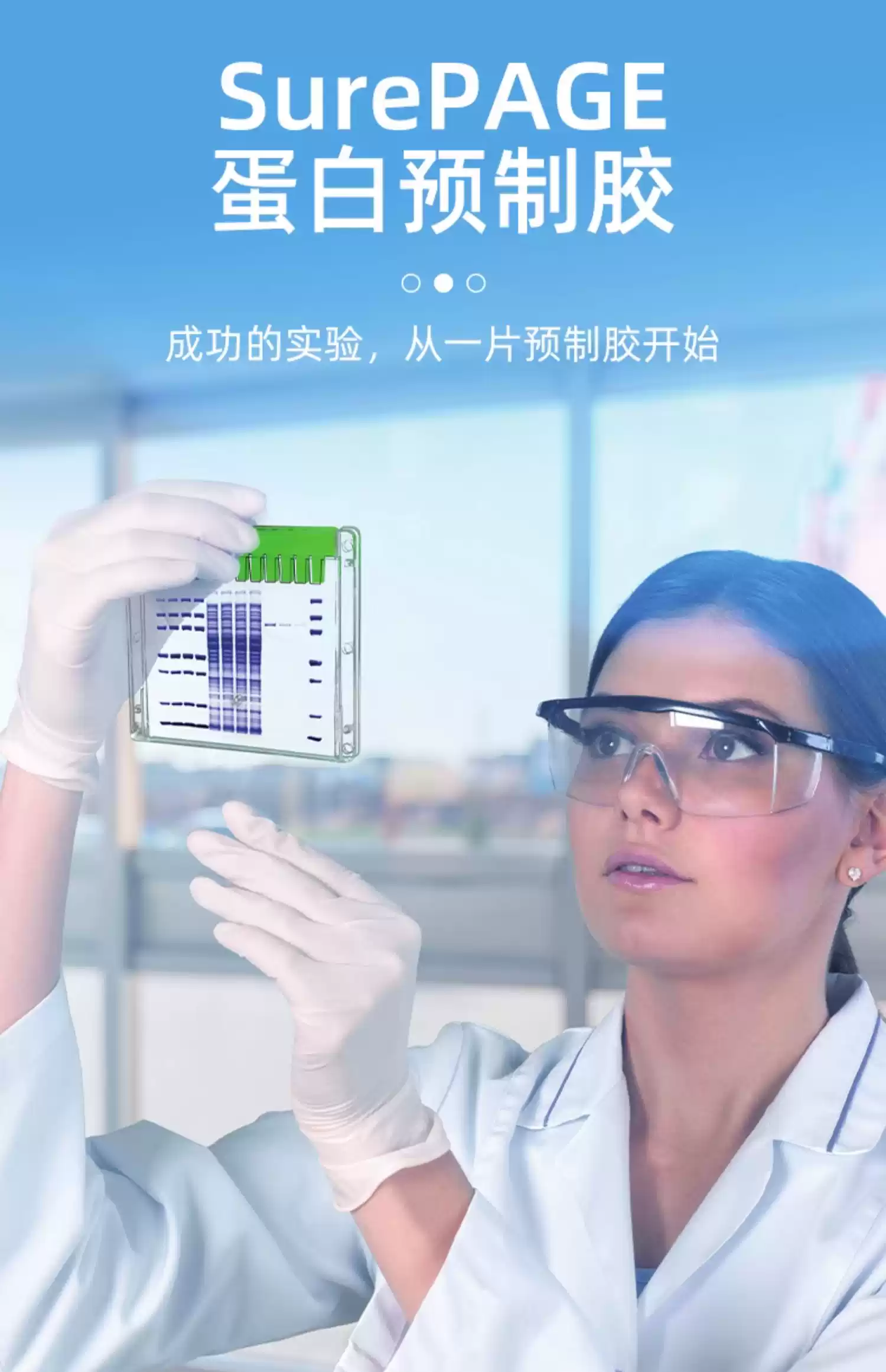 金斯瑞 Genscript SurePAGE蛋白预制胶sds-page 电泳蛋白胶4%-20% 10孔/12孔/15孔 10块/盒 包邮