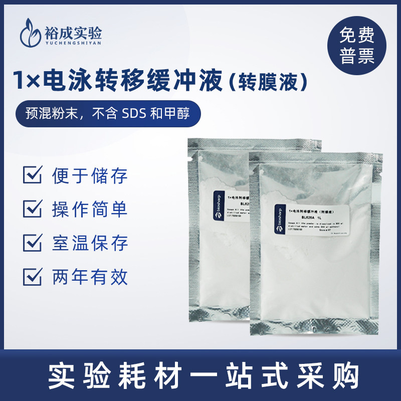 BL626A 1&times;电泳转移缓冲液（转膜液）western blot  Transfer Buffer 转印液 转印冻干粉