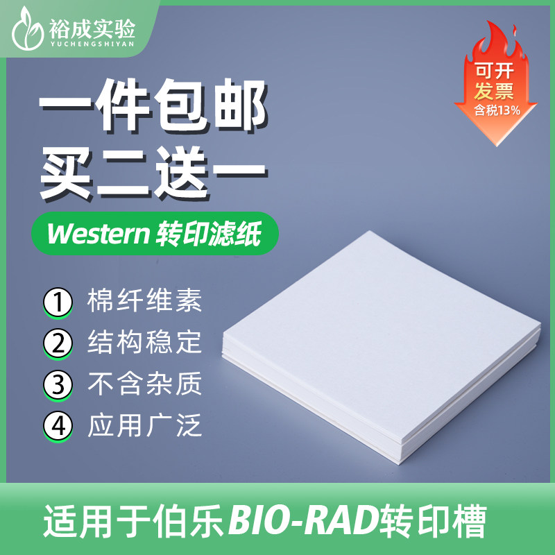 Western blot湿转转印滤纸转膜滤纸1mm厚度Northern Southern EMSA蛋白转印滤纸 20片/包 包邮 买二送一
