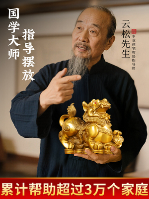 铜貔貅招财摆件一对公母纯黄铜旺财全黄铜皮丘貔犰客厅店铺办公室