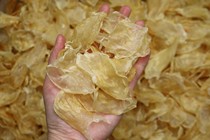 Egg glue deep sea swim bladder belly yellow croaker glue clear water original color golden dry goods pregnant women nourishing millet fish