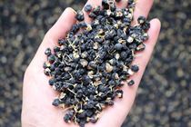 Qinghai Black wolfberry summer ultraviolet combat anthocyanin pigment fading different water quality color different color good