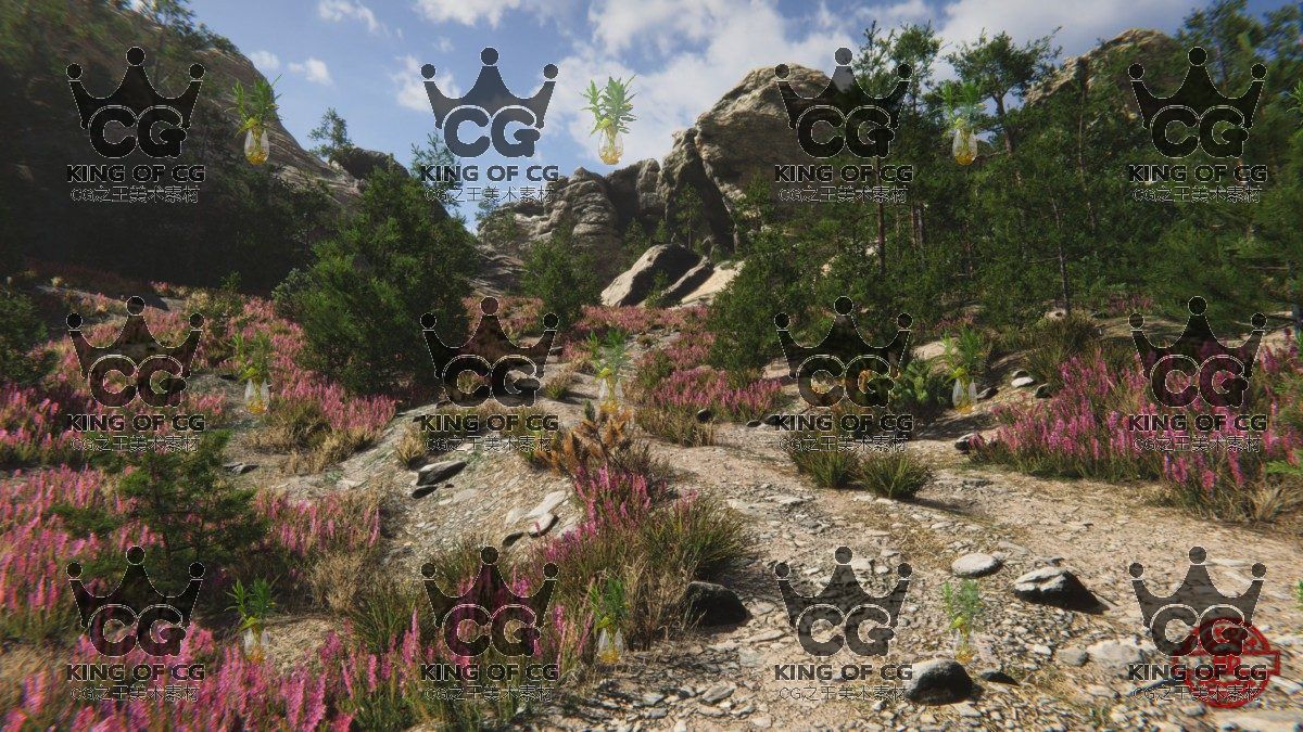 图片[7]-unity3d动态山区自然场景Mountain Environment-Dynamic Nature-cg男孩
