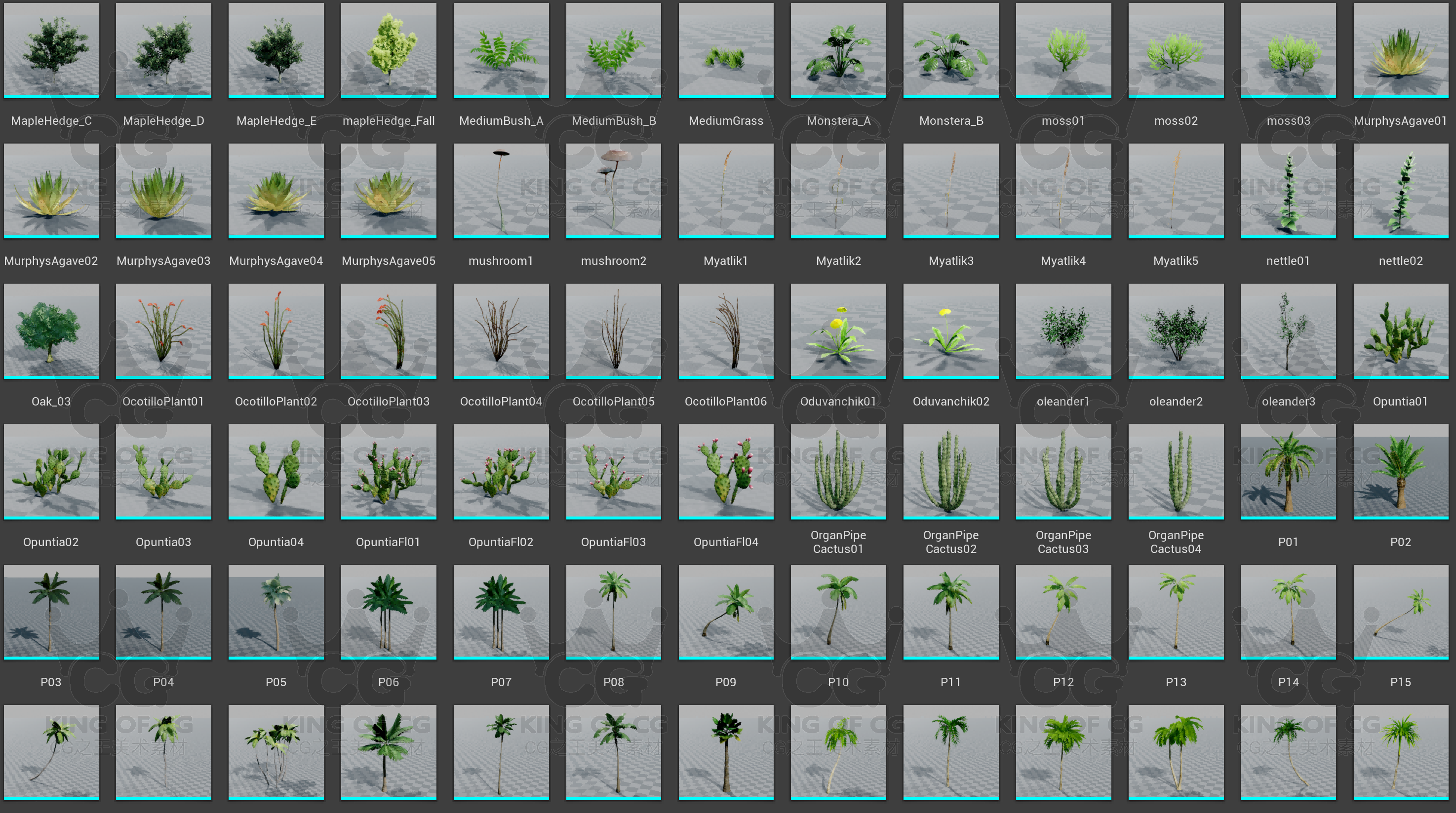 图片[11]-ue4虚幻商城植物花草树木落叶杂草鲜花植被杂木蘑菇自然物大合集-cg男孩
