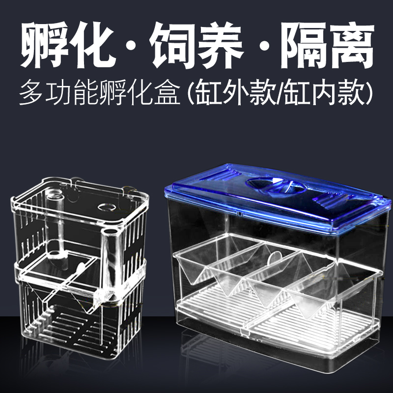 Peacock fish breeding box fish tank non-acrylic isolation box extra large spawn hatching room small fry juvenile large fish
