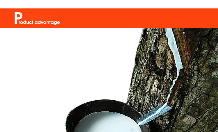 5321347967_564671597