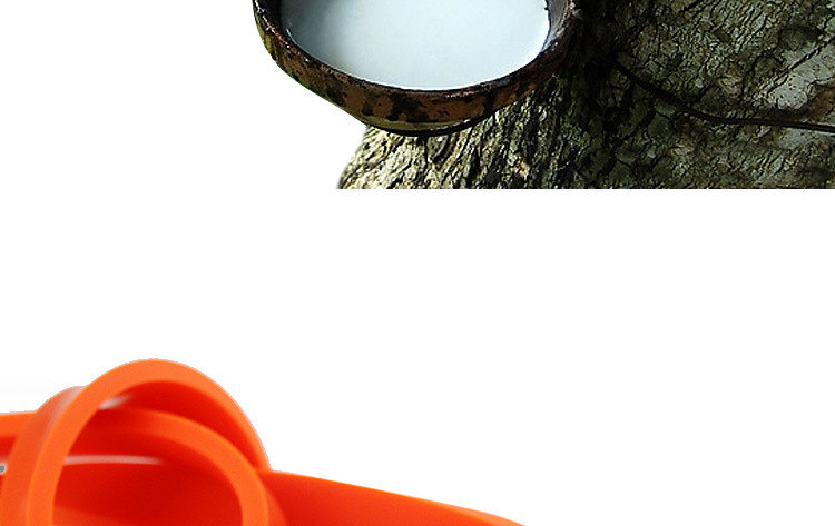 5319486153_564671597