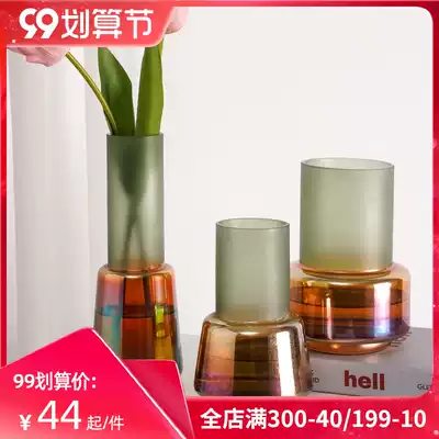 Light luxury vase Net red transparent glass ornaments living room flower arrangement dry flower table small creative simple Nordic ins Wind