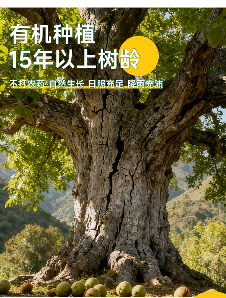 安享好物 安享S级核桃-栗滋羹云南 有机核桃 国标 
