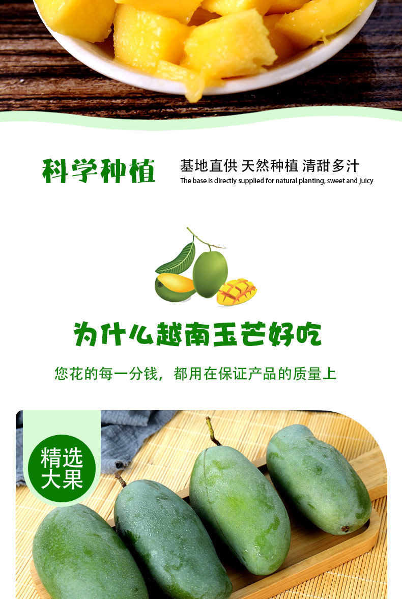 越南进口 玉芒 9斤 单果重300-400g 图7