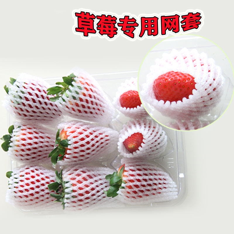 Strawberry Packing Net Set Express Transportation Shockproof Net Bag Egg Apple Watermelon Pipa Kiwi Fruit Net Bag Wholesale