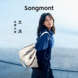 Тот же стиль, что и Wenqi Songmont Shanxia youfeng natote bag 2025 Spring Новая большая мощность с плиссированной сумочкой