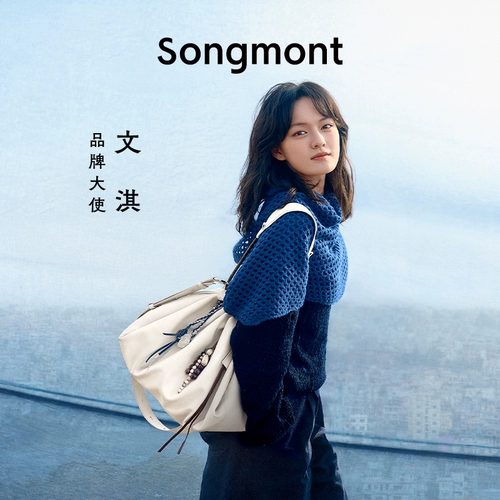 Тот же стиль, что и Wenqi Songmont Shanxia youfeng natote bag 2025 Spring Новая большая мощность с плиссированной сумочкой