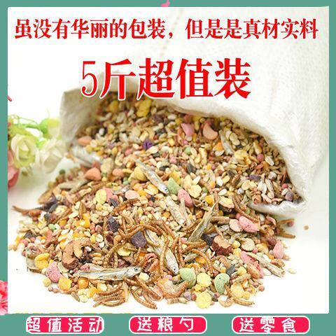 The hamster eats the grain hamster grain nutrition staple food feed food bread worm package supplies flower branch squirrel