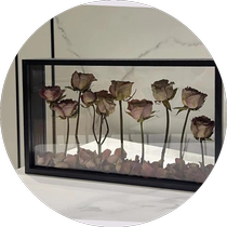 Wooden creative diy double-sided transparent three-dimensional dried flower hollow photo frame 22*62 eternal flower window cabinet table frame