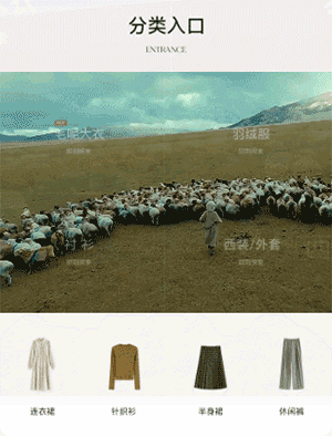 大卡-淡入分类图+背景视频