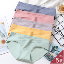 Pregnant women underwear cotton autumn and winter thin models in the third trimester early pregnancy low waist maternal shorts wear