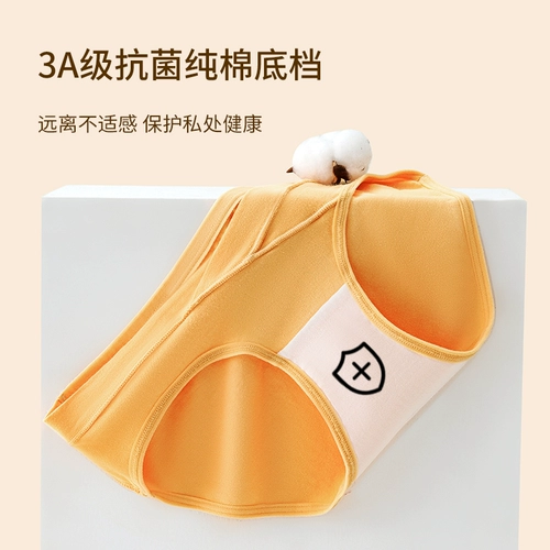 Хлопковые демисезонные трусы, антибактериальные шорты, большой размер