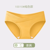 1 0010 модели имбиря 1