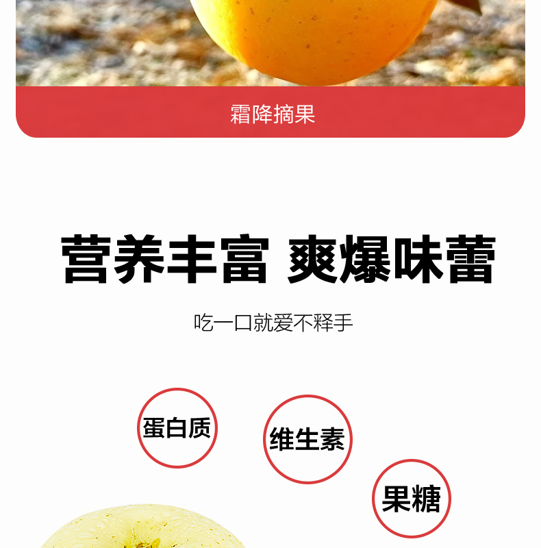烟台黄金奶油富士 净重5斤 一级果80-85mm 图16