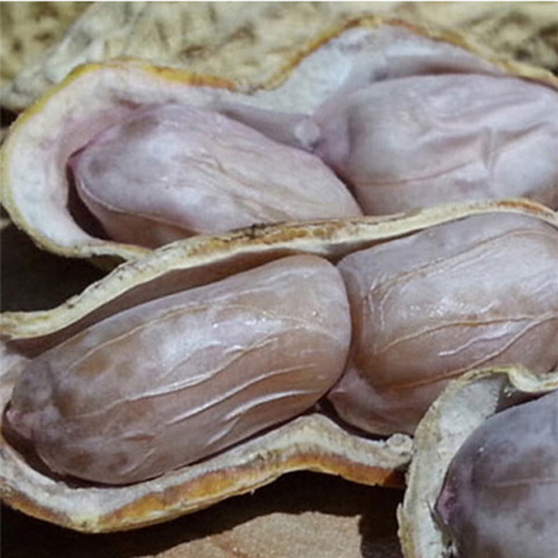 Mindae Longyan rock peanuts with shell water cooking white sun salt salty dried garlic spicer five fragrant salty fried peanuts snacks nuts-Taobao