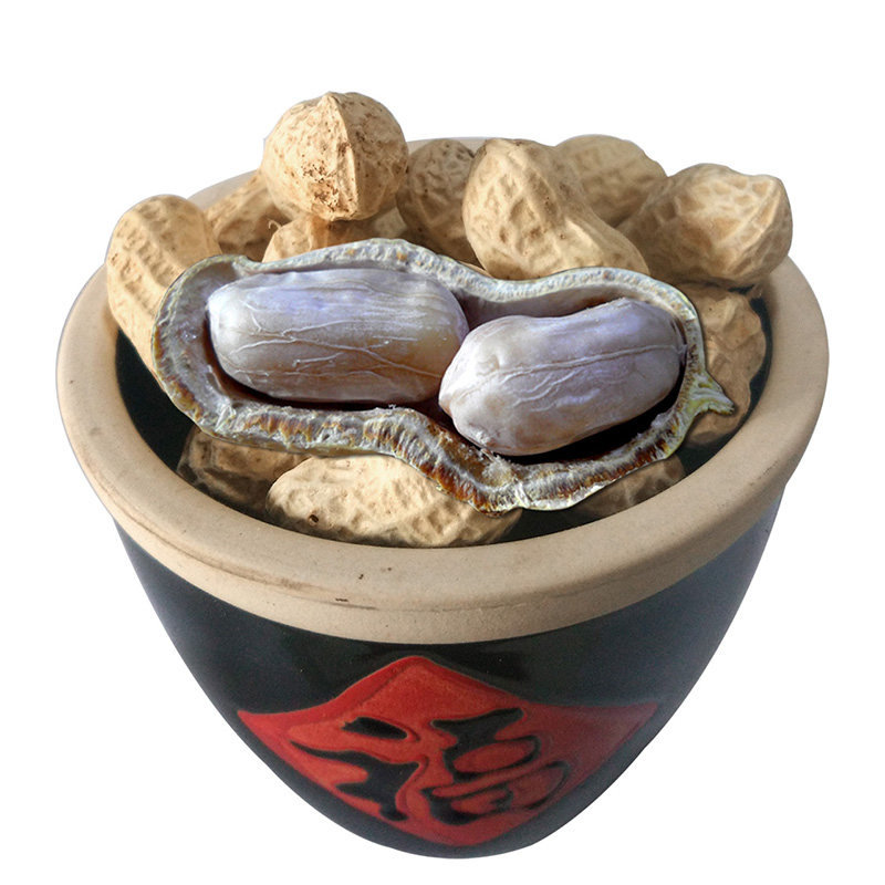 5 catty Minookao Longyan rock peanuts with shell water cooking white sun salt salty dried garlic salted and salted peanut 500g * 5 bags of nuts