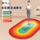 Jump Rope Shock-Absorbing Mat, Professional Yoga Mat, Indoor Soundproof Floor Mat, Shock-Proof, Silent, Thickened Exercise Mat, Home Jump Rope Mat