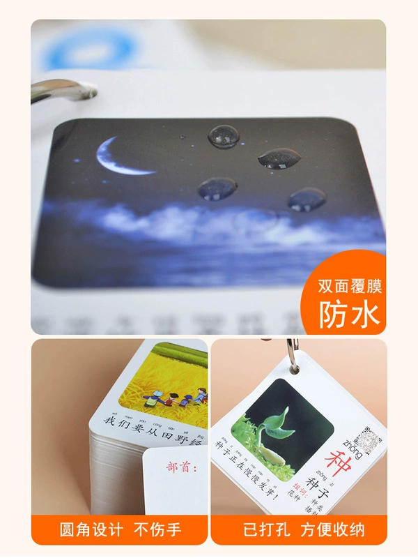 card âm thanh và lớp xóa mù chữ đơn vị đồng bộ hóa sách giáo khoa đầu tiên trên thẻ biên soạn cuốn sách từ vựng dưới cuốn sách PEP trường tiểu học Pinyin