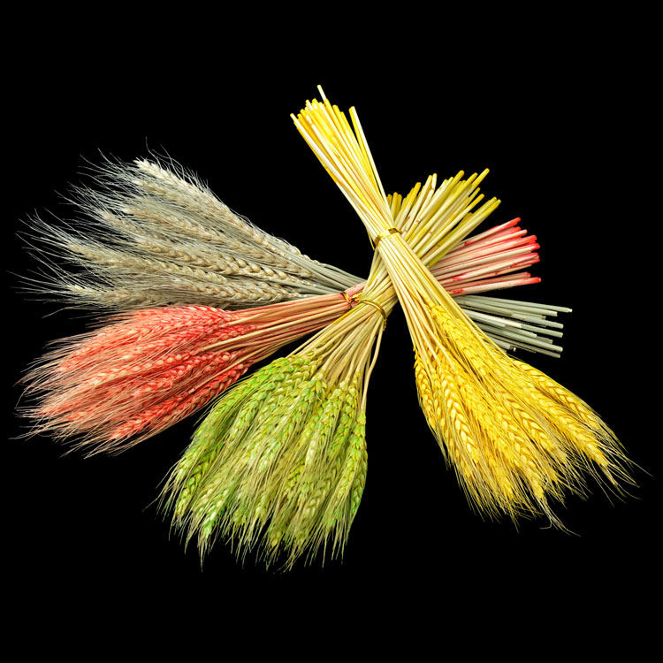 Kitchen gold plate cold dish decorated dry rice spike decorated with flower grass creative shape small swing