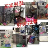 Медовый просмотр клетки клетки меда.