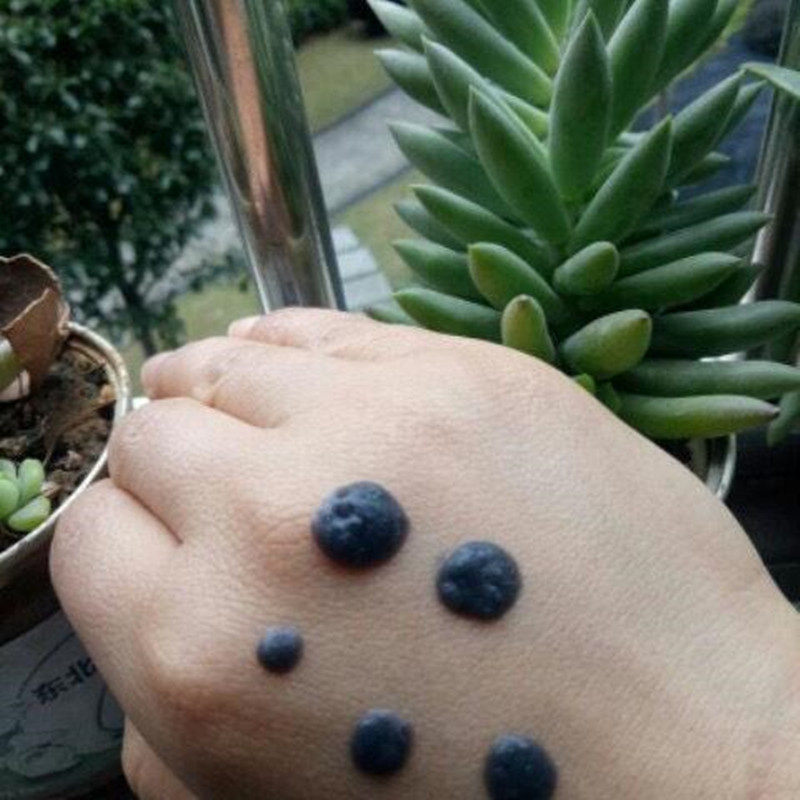 Silicone Fake Mole performance Performance Props Accessories Decoration Nevus Gift Items Sticked Makeup with Ugly Mole Mole mole