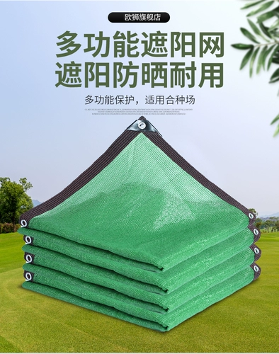 Строительство пыли сеть озеленения сети, покрывающая сеть сети, сеть защиты окружающей среды Зеленый анти -проникновение балкона балконы